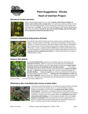 Heart of Uwchlan Pollinator Garden Plant Suggestions – Shrubs 2020 Page 1