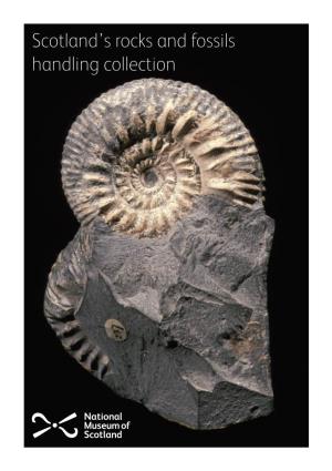Scotland's Rocks and Fossils Handling Collection