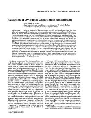Evolution of Oviductal Gestation in Amphibians MARVALEE H