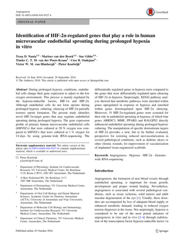 Identification of HIF-2Α-Regulated Genes That Play a Role in Human