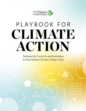 PLAYBOOK for CLIMATE ACTION Pathways for Countries and Businesses to Help Address Climate Change Today