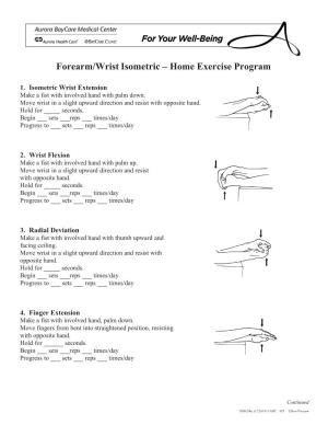 Forearm/Wrist Isometric – Home Exercise Program