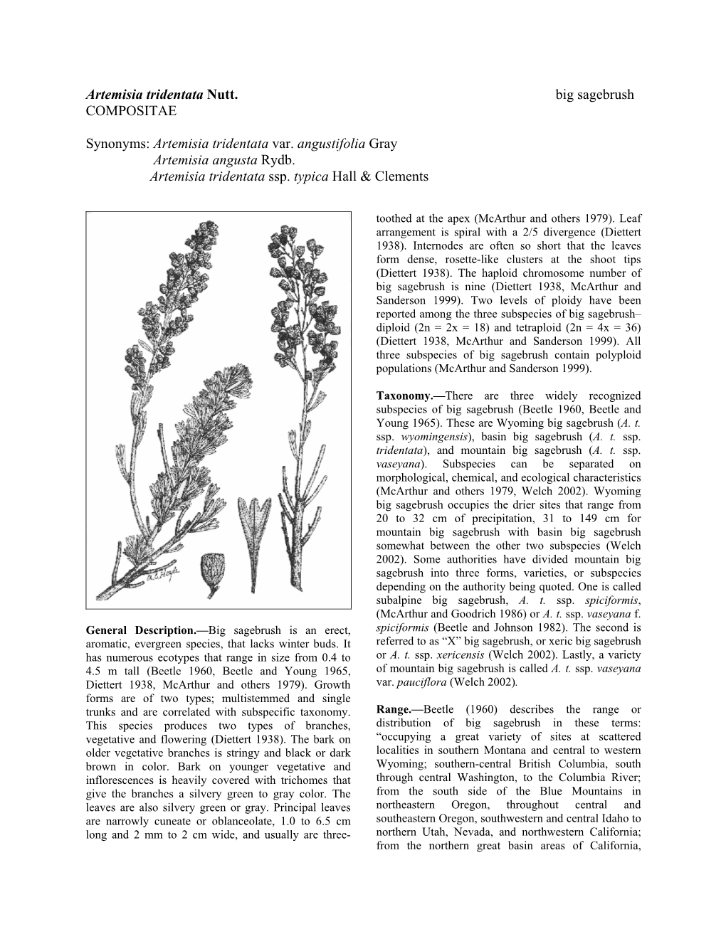 Artemisia Tridentata Nutt. Big Sagebrush COMPOSITAE Synonyms