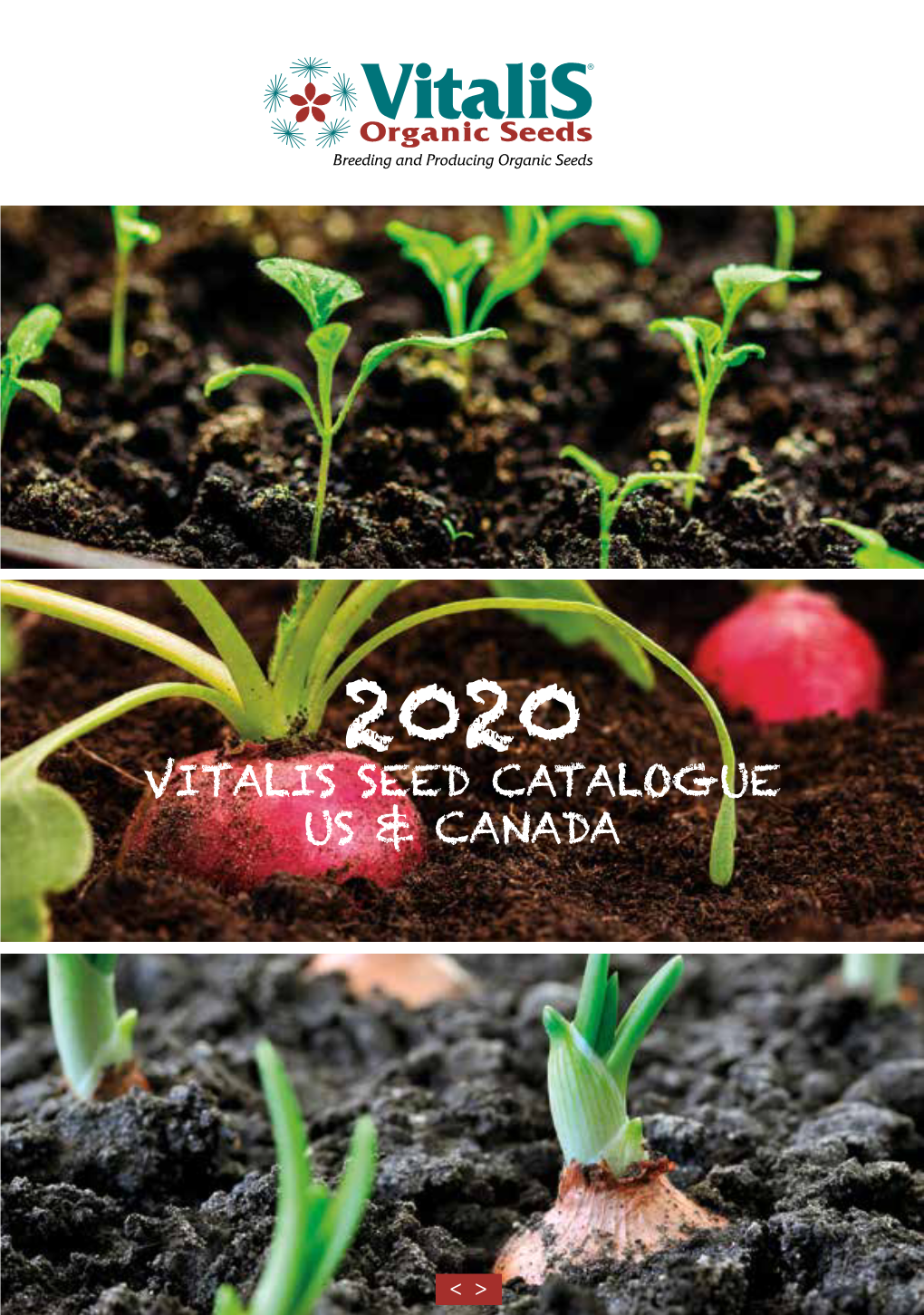 Vitalis Seed Catalogue Us & Canada