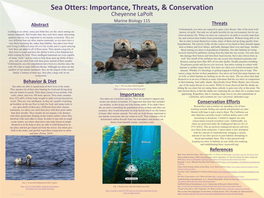 Sea Otters: Importance, Threats, & Conservation