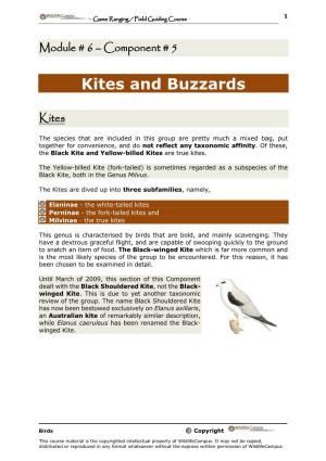 Kites and Buzzards