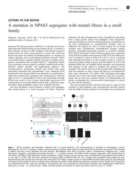 A Mutation in NPAS3 Segregates with Mental Illness in a Small Family