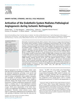 Activation of the Endothelin System Mediates Pathological Angiogenesis During Ischemic Retinopathy