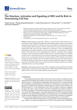 The Structure, Activation and Signaling of IRE1 and Its Role in Determining Cell Fate