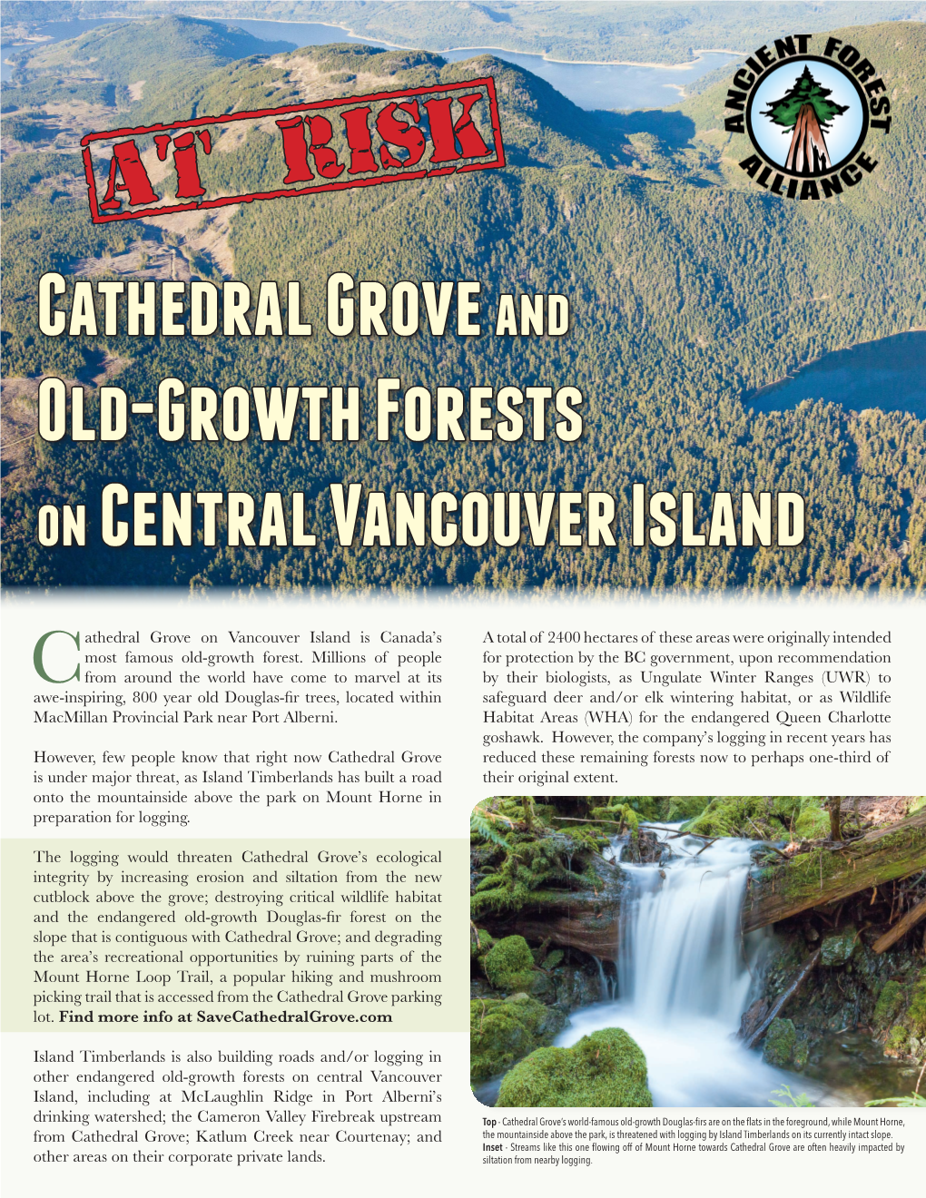 {AT RISK} Cathedral Grove and Old-Growth Forests on Central Vancouver Island