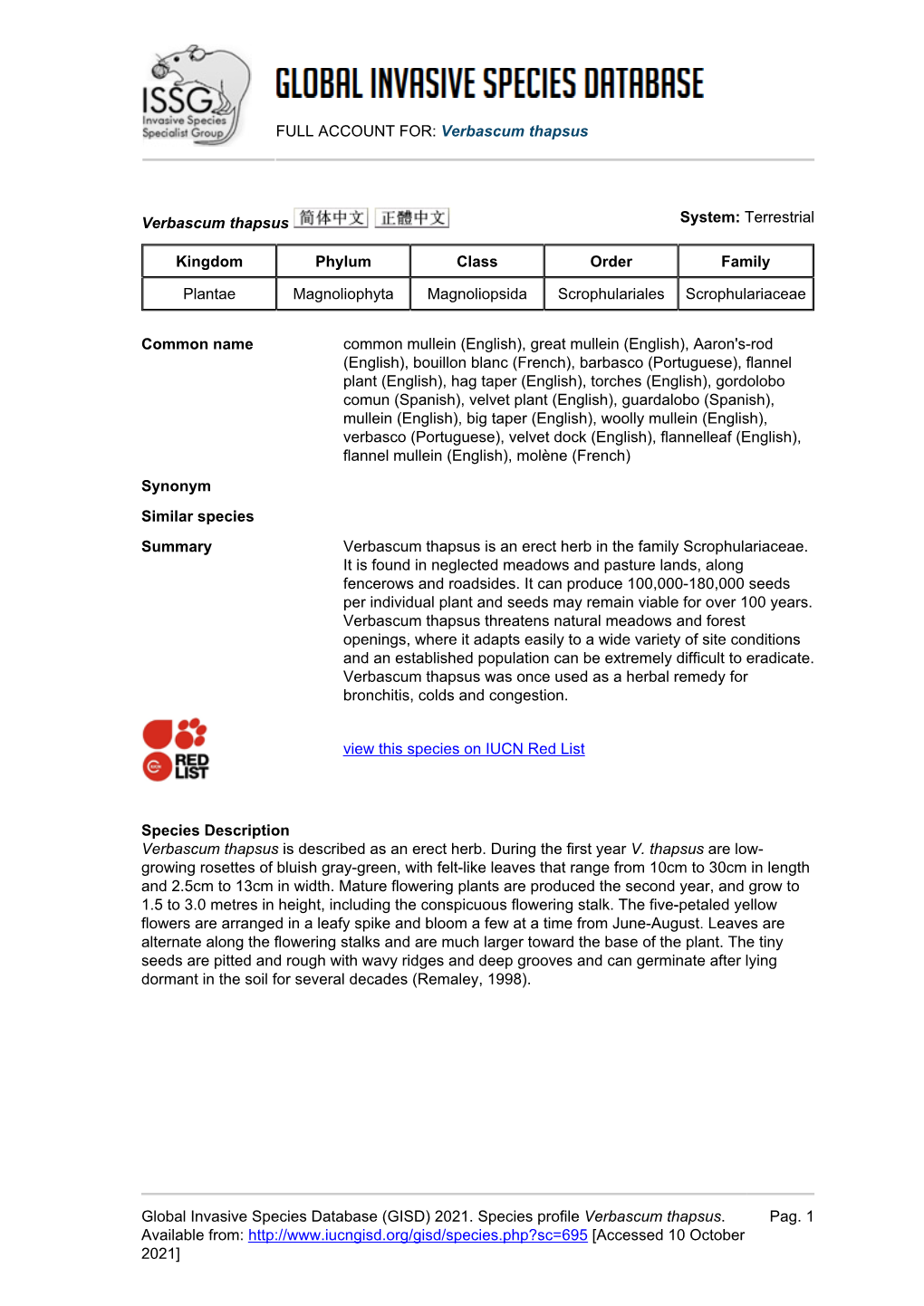 FULL ACCOUNT FOR: Verbascum Thapsus Global Invasive Species Database (GISD) 2021. Species Profile Verbascum Thapsus. Available F