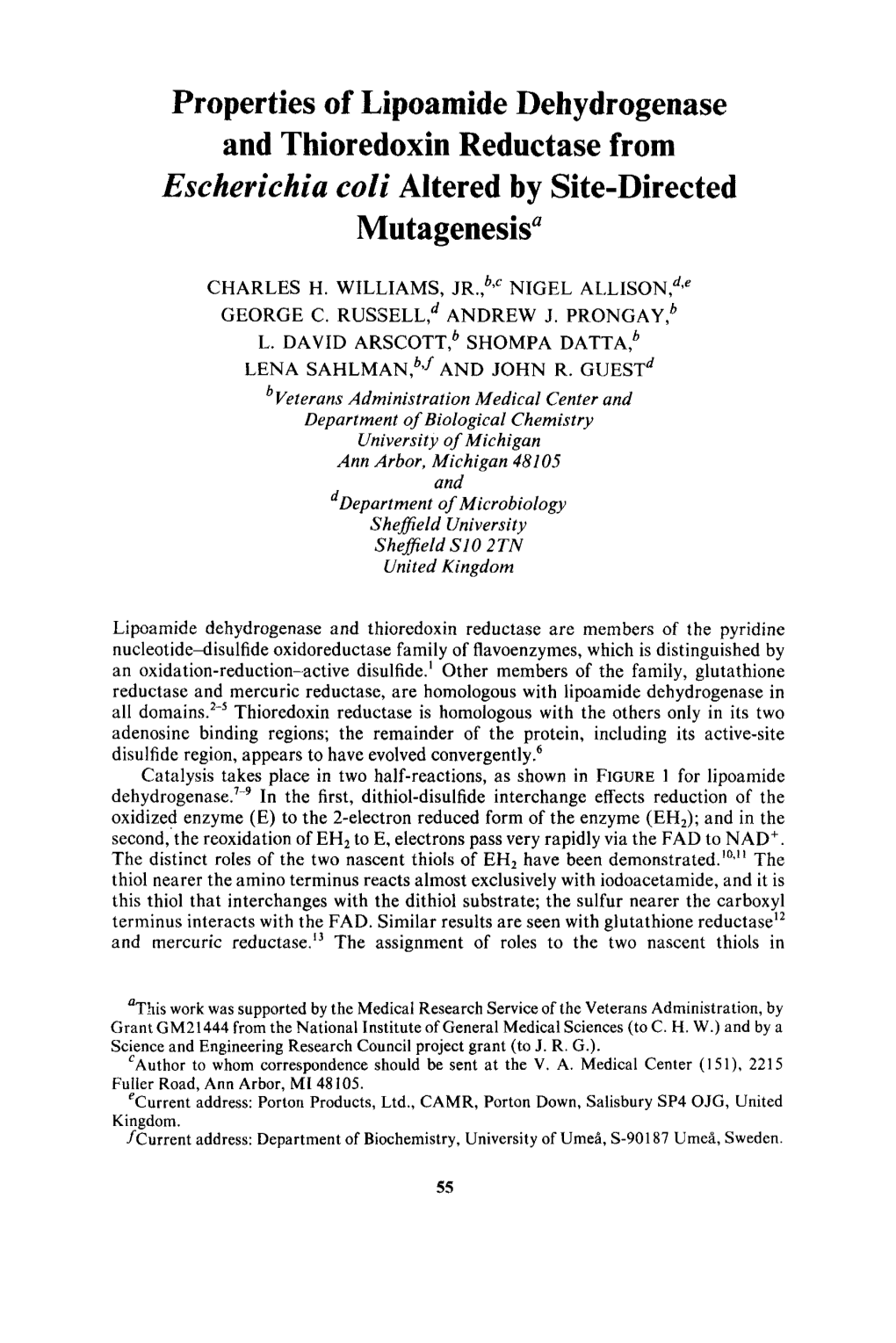 Properties of Lipoamide Dehydrogenase and Thioredoxin Reductase from Escherichia Coti Altered by Site-Directed Mutagenesis“