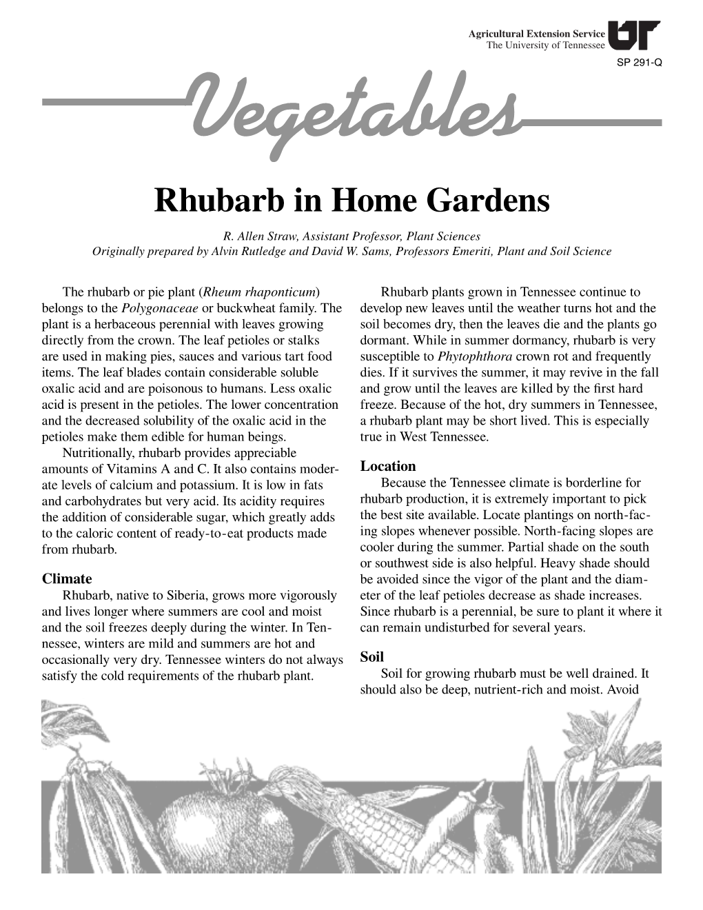 Rhubarb in Home Gardens, SP291-Q