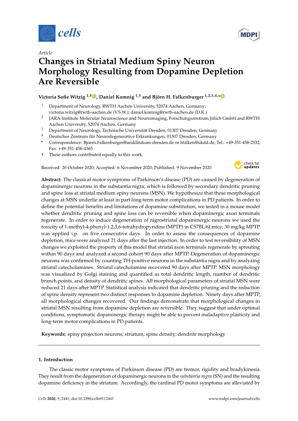 Changes in Striatal Medium Spiny Neuron Morphology Resulting from Dopamine Depletion Are Reversible