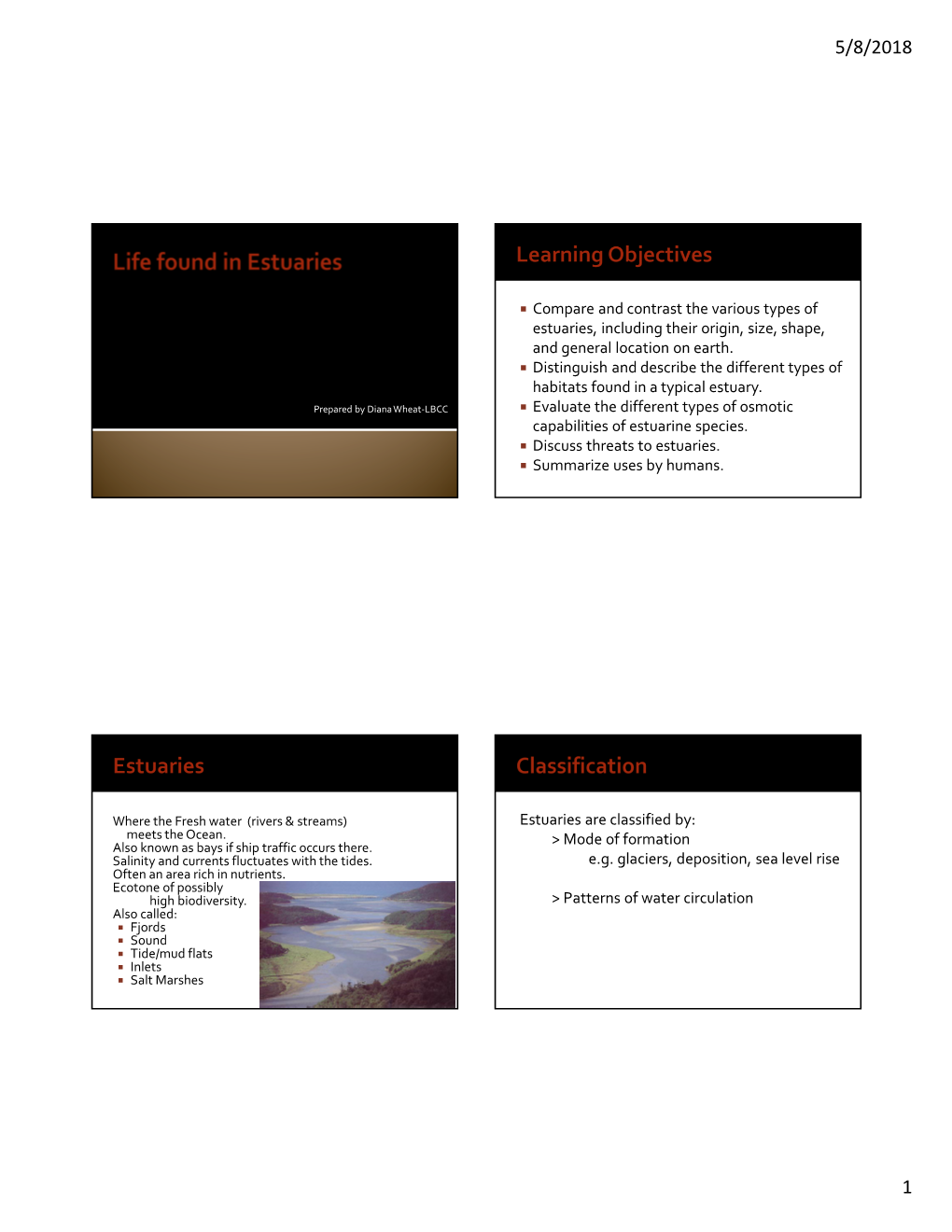 Compare and Contrast the Various Types of Estuaries, Including Their Origin, Size, Shape, and General Location on Earth