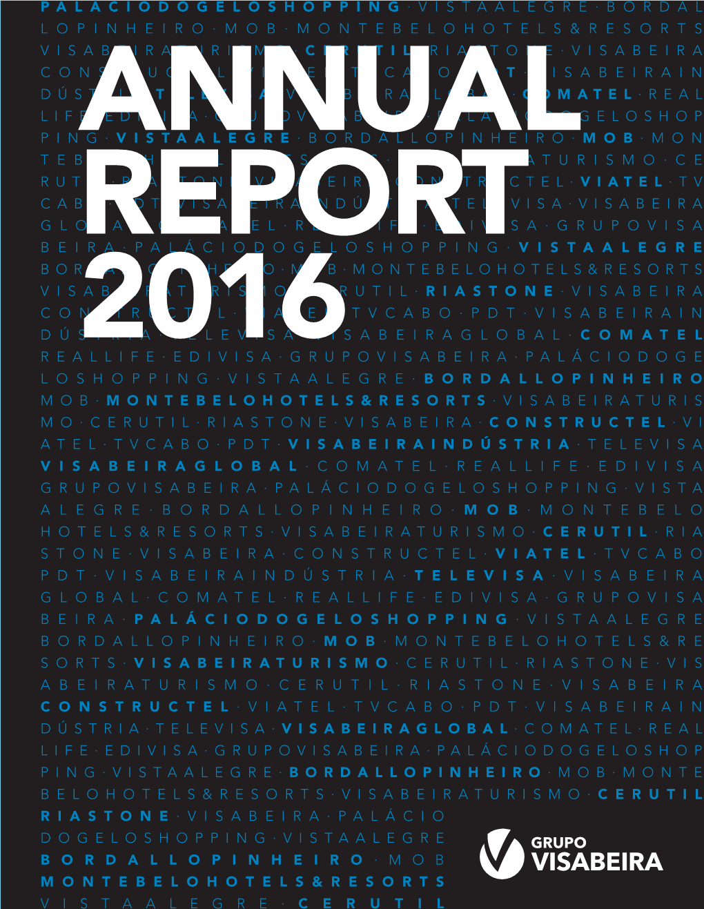 Annualreport16 Grupovisabeira.Pdf