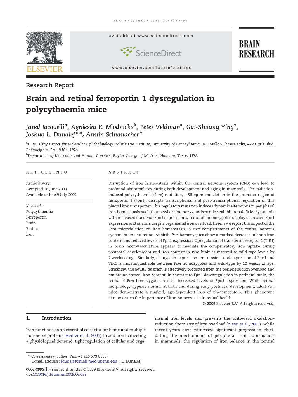 Brain and Retinal Ferroportin 1 Dysregulation in Polycythaemia Mice
