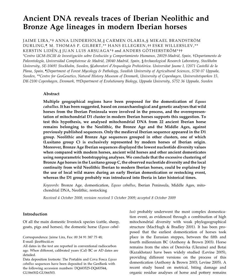 Ancient DNA Reveals Traces of Iberian Neolithic and Bronze Age Lineages in Modern Iberian Horses