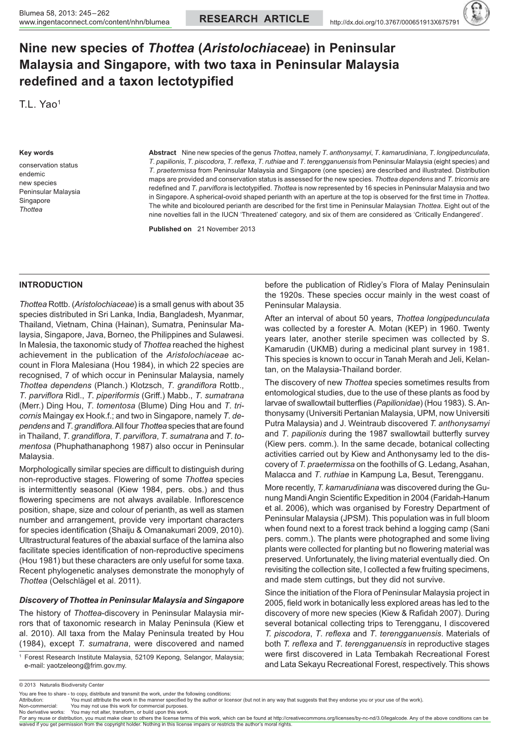 Nine New Species of &lt;I&gt;Thottea&lt;/I&gt; (&lt;I