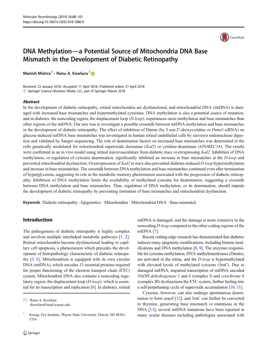 DNA Methylation—A Potential Source of Mitochondria DNA Base Mismatch in the Development of Diabetic Retinopathy