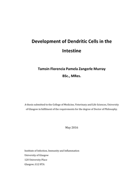 Development of Dendritic Cells in the Intestine
