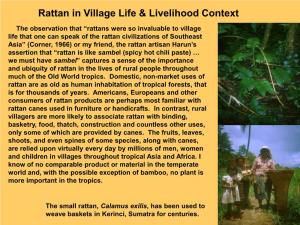 Rattan in Village Life & Livelihood Context