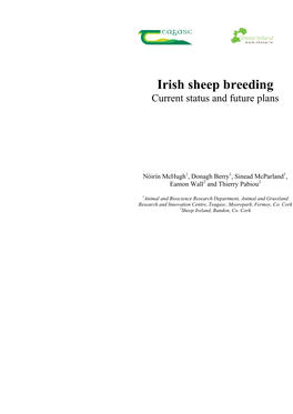 Irish Sheep Breeding Current Status and Future Plans