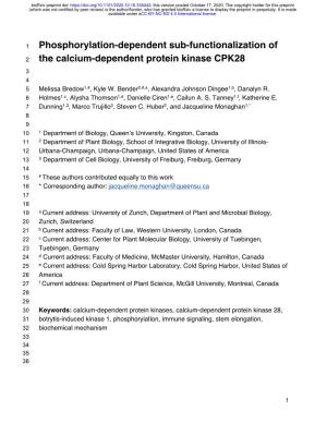 Phosphorylation-Dependent Sub-Functionalization of the Calcium-Dependent Protein Kinase CPK28