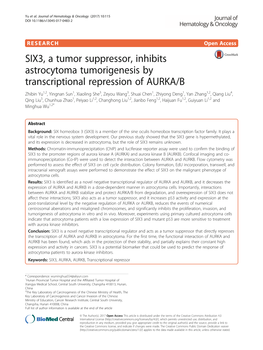 SIX3, a Tumor Suppressor, Inhibits Astrocytoma Tumorigenesis By