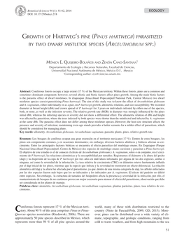 Growth of Hartweg's Pine (Pinus Hartwegii) Parasitized