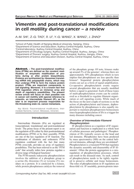 2603-2606-Vimentin and Post-Translational Modifications In