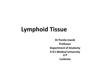 Lymphoid Tissue