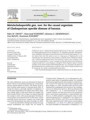 Metulocladosporiella Gen. Nov. for the Causal Organism of Cladosporium Speckle Disease of Banana