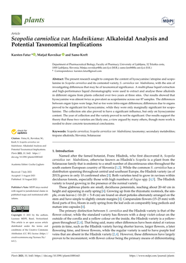 Scopolia Carniolica Var. Hladnikiana: Alkaloidal Analysis and Potential Taxonomical Implications
