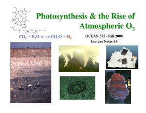 Photosynthesis & the Rise of Atmospheric O