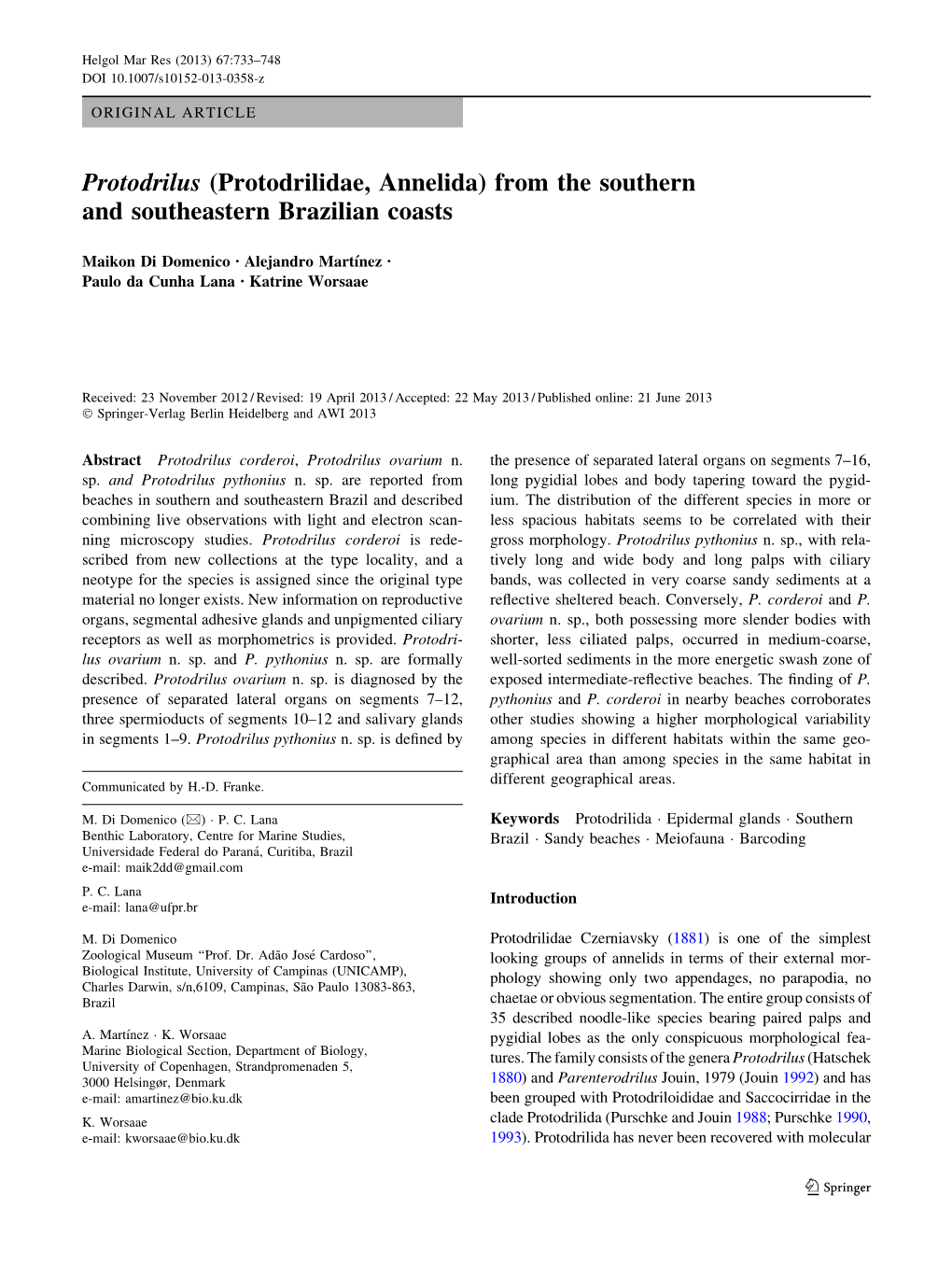 Protodrilus (Protodrilidae, Annelida) from the Southern and Southeastern Brazilian Coasts