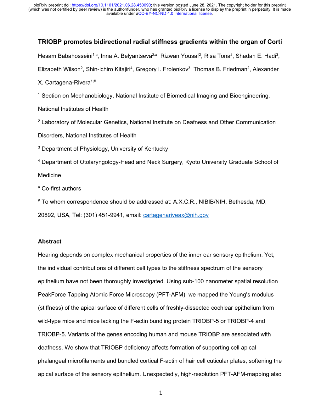 1 TRIOBP Promotes Bidirectional Radial Stiffness Gradients Within The