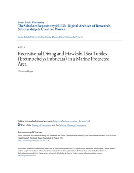Recreational Diving and Hawksbill Sea Turtles (Eretmochelys Imbricata) in a Marine Protected Area Christian Hayes