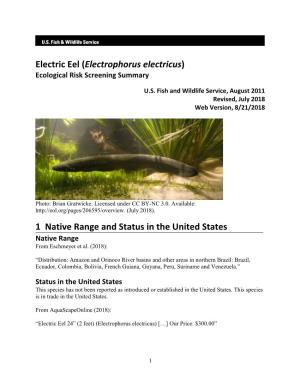 Electrophorus Electricus ERSS