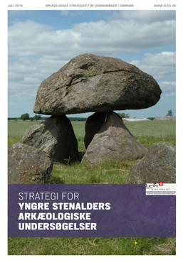 Strategi for Yngre Stenalders Arkæologiske Undersøgelser Indhold