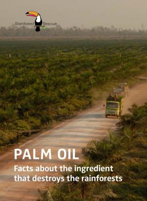 Palm Oil Facts About the Ingredient­ That Destroys the Rainforests­