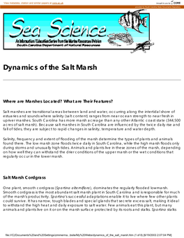 Dynamics of the Salt Marsh