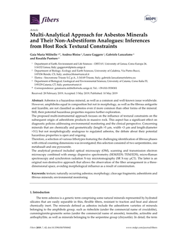 Multi-Analytical Approach for Asbestos Minerals and Their Non-Asbestiform Analogues: Inferences from Host Rock Textural Constraints