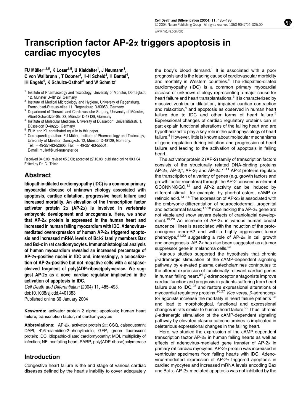 Transcription Factor AP-2A Triggers Apoptosis in Cardiac Myocytes