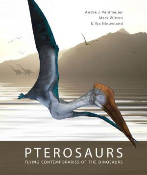 Pterosaurs Or Flying Reptiles Were the First Vertebrates to Evolve Flight