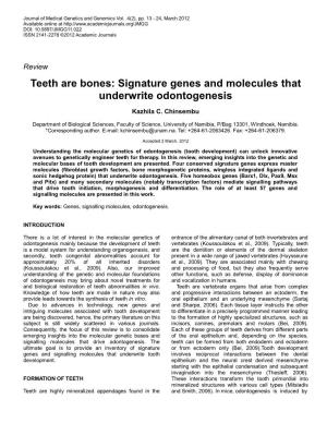Teeth Are Bones: Signature Genes and Molecules That Underwrite Odontogenesis