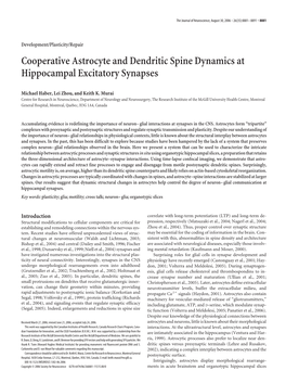 Cooperative Astrocyte and Dendritic Spine Dynamics at Hippocampal Excitatory Synapses