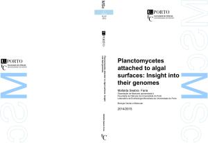 Planctomycetes Attached to Algal Surfaces: Insight Into Their Genomes