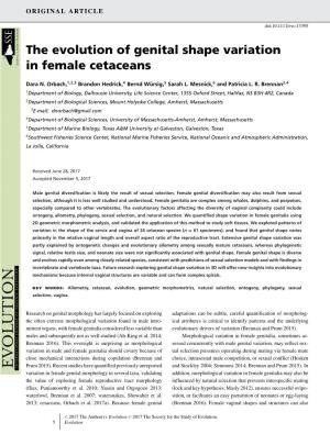 The Evolution of Genital Shape Variation in Female Cetaceans