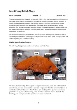 Identifying British Slugs